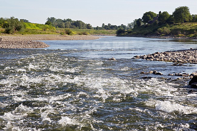 Grensmaas, Meers, Limburg; Nederland / Netherlands stock-image by Agami/Ran Schols,
