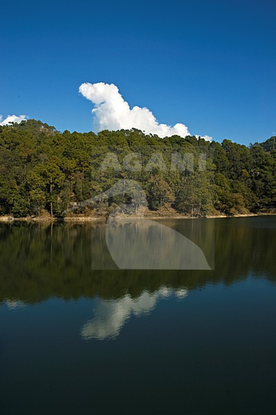 Bergmeer Sat Tal, India; Mountain lake Sat Tal, India stock-image by Agami/Marc Guyt,