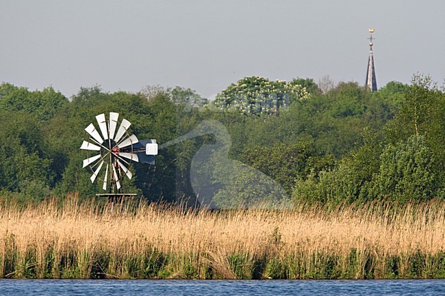 Natuurgebied Rottige Meente in Friesland stock-image by Agami/Marc Guyt,