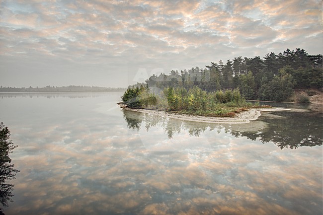 Reindertsmeer NP Maasduinen bij zonsopgang, Reinderts lake NP Maasduinen at sunrise stock-image by Agami/Rob Riemer,