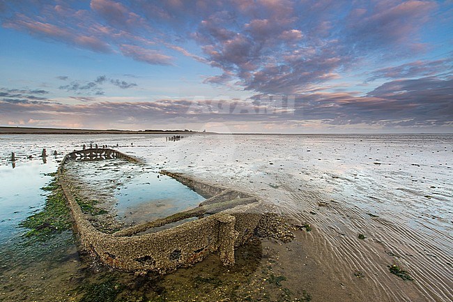 Wreck on the mudflats at wierum stock-image by Agami/Wil Leurs,