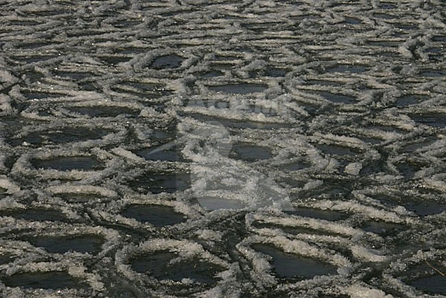 ijsvorming; ice stock-image by Agami/Menno van Duijn,