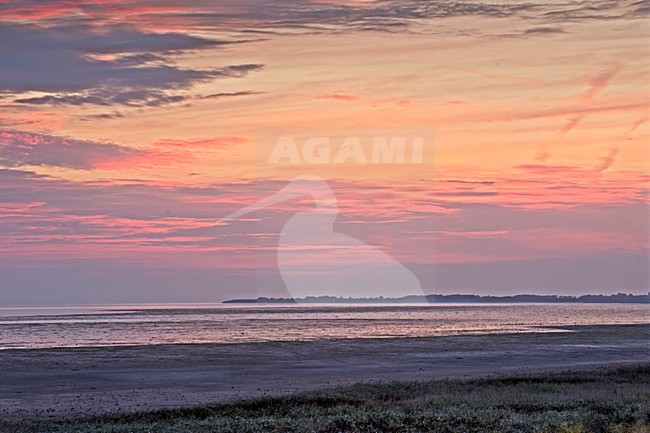 Waddenzee Balgzandschor bij zonsopgang, Wadden Sea Balgzand marshes at sunrise stock-image by Agami/Rob Riemer,