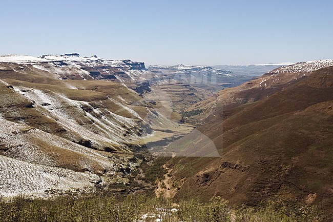Sani Pass, Drakensbergen, South-Africa stock-image by Agami/Marc Guyt,