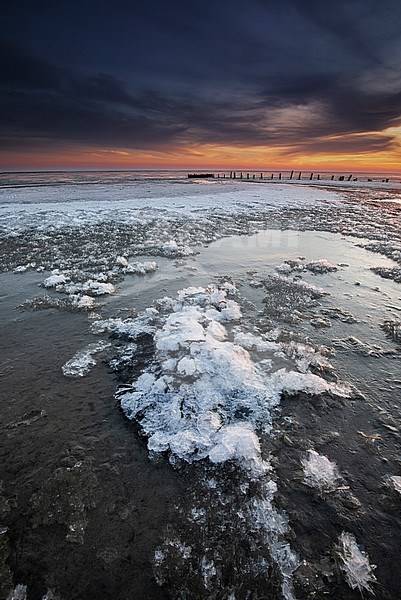 Wadden Sea stock-image by Agami/Wil Leurs,
