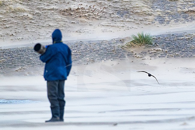  stock-image by Agami/Menno van Duijn,