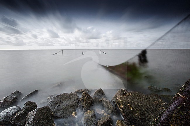 Fuik op het wad,  fish trap on the flats stock-image by Agami/Wil Leurs,