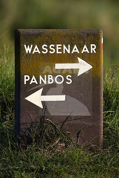 Direction sign to Wassenaar and Panbos at the Zuidduinen in summer stock-image by Agami/Marc Guyt,