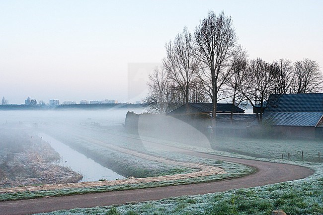 Farm in foggy meadow at Ouderkerk stock-image by Agami/Marc Guyt,