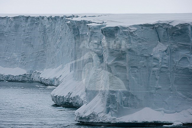 Ice cliffs along the southern edge of the Austfonna ice cap. Nordaustlandet, Svalbard, Norway stock-image by Agami/Sergio Pitamitz,