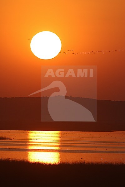 Sunset Chhari Lake, Greater Rann of Kutch, India stock-image by Agami/James Eaton,