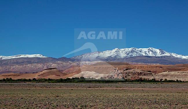 Atlas gebergte, Atlas Mountains stock-image by Agami/Anja Nusse,