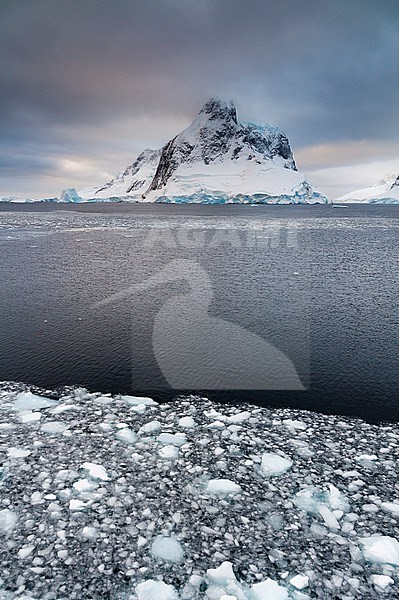 The Lemaire channel, Antarctica. Antarctica. stock-image by Agami/Sergio Pitamitz,