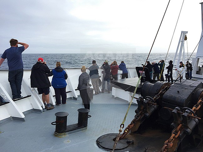 Bird and wildlife watchers on stern of expedition cruise ship Spirit of Enderby in the subantarctic oceans south of New Zealand. stock-image by Agami/Marc Guyt,