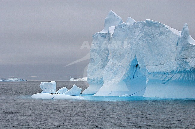 Weddell Sea Scenery, Antarctica stock-image by Agami/Pete Morris,