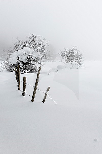 Snowy Landscape, winter landscape with bushes and an old fence, Campania, Italy stock-image by Agami/Saverio Gatto,