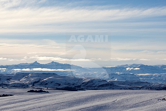 manual updated stock-image by Agami/Marc Guyt,