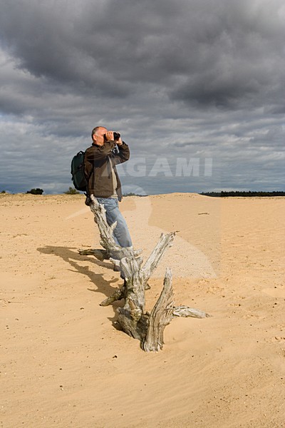 Birdwatcher on Kootwijkerzand Netherlands; Vogelaar op Kootwijkerzand Nederland stock-image by Agami/Marc Guyt,