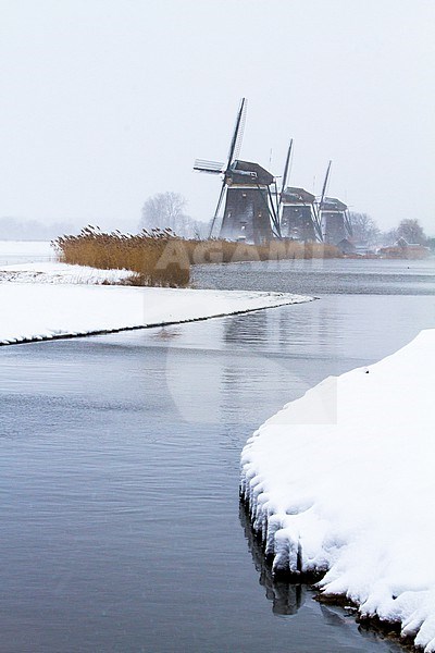  stock-image by Agami/Menno van Duijn,