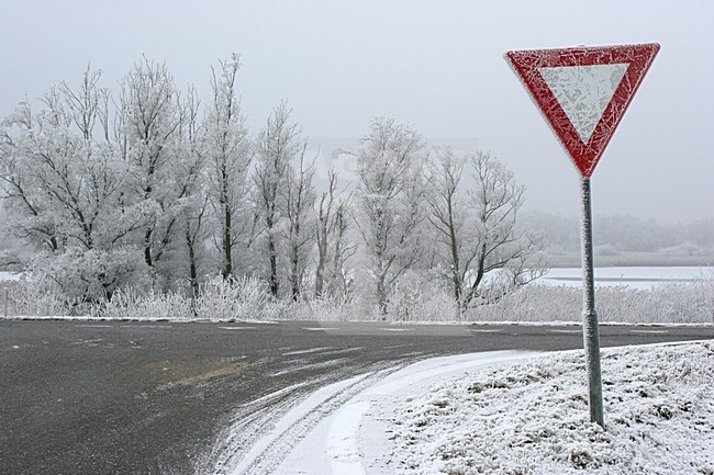 Lepelaarplassen Almere Netherlands covered in hoar-frost; Lepelaarplassen Almere Nederland bedekd met rijp stock-image by Agami/Karel Mauer,