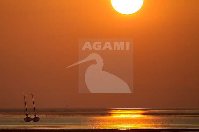 Boten liggen in drooggevallen Waddenzee tijdens zonsopkomst; Boats drifting at dried out Wadden Sea at sunrise stock-image by Agami/Harvey van Diek,