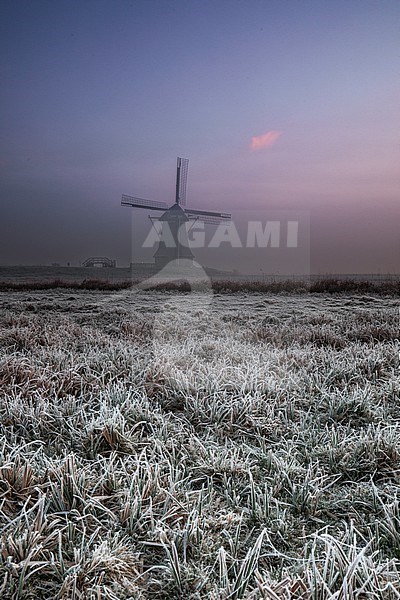Dutch windmill in the early morning light. stock-image by Agami/Wil Leurs,