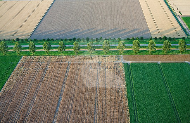Luchtfoto van de Flevopolder; Aerial photo of the Flevopolder stock-image by Agami/Marc Guyt,