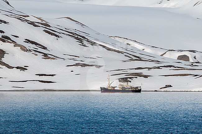 An expedition ship cruises the Arctic near Monaco glacier. Monaco Glacier, Spitsbergen Island, Svalbard, Norway. stock-image by Agami/Sergio Pitamitz,