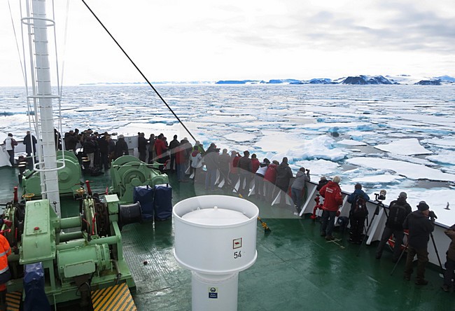 Ortelius varend door het pakijs; Ortelius cruising through the pack ice stock-image by Agami/Marc Guyt,