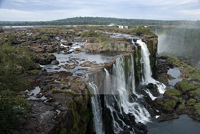 Iguazu Falls; Iguazu watervallen stock-image by Agami/Roy de Haas,