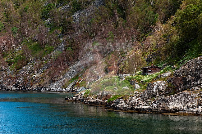 Houses along hug steep, rugged, cliffs above Geirangerfjord. Geiranger, Geirangerfjord, Norway. stock-image by Agami/Sergio Pitamitz,