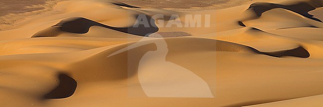 Landscape of central desert of Oman stock-image by Agami/Ralph Martin,