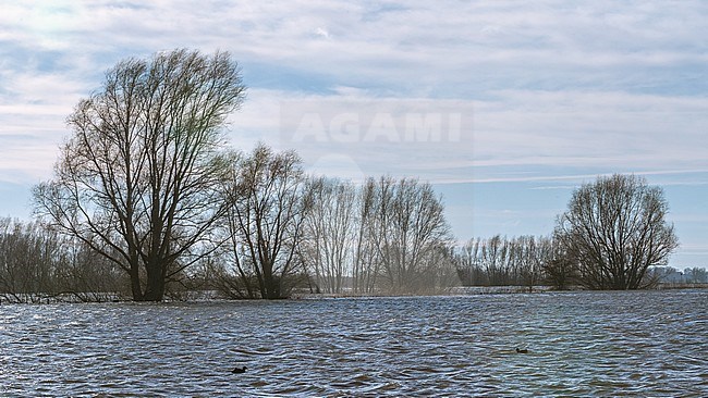 IJssel hoog water, IJssel high water stock-image by Agami/Eric Tempelaars,