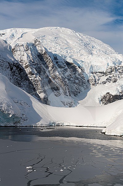 Frozen sea in Paradise Bay, Antarctica. Antarctica. stock-image by Agami/Sergio Pitamitz,