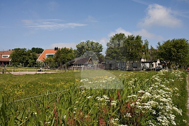 Landelijk gebied op Schiermonnikoog; countryside on Schiermonnikoog stock-image by Agami/Marc Guyt,