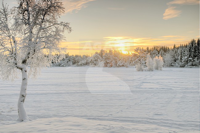 Bevroren meer in Noorwegen, Frozen lake in Norway stock-image by Agami/Rob Riemer,