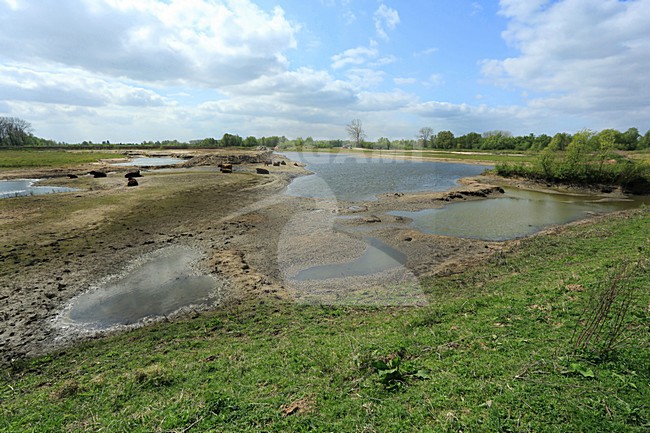 Gelderse Poort, Millingerwaard stock-image by Agami/Jacques van der Neut,