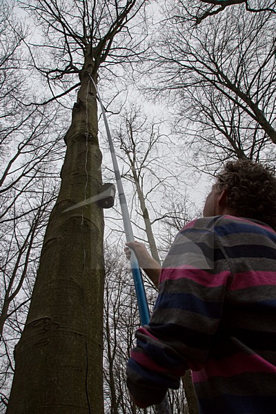 Vleermuisonderzoekers met boomcamera, Batresearchers with treecamera stock-image by Agami/Theo Douma,