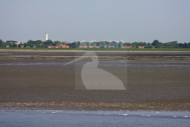 Waddenzee bij Schiermonnikoog; Wadden Sea at Schiermonnikoog stock-image by Agami/Marc Guyt,
