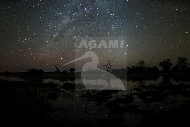 The Milky Way and zodiacal light over the Okavango Delta. Okavango Delta, Botswana. stock-image by Agami/Sergio Pitamitz,