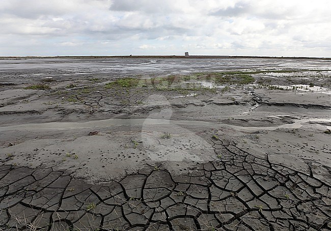 Landscape the Markerwadden and drought visible stock-image by Agami/Jacques van der Neut,