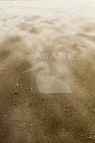 Drifting sand in storm wind blowing over the beach stock-image by Agami/Menno van Duijn,