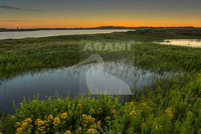 Zonsopkomst Den Helder 2014 Rob Riemer stock-image by Agami/Rob Riemer,