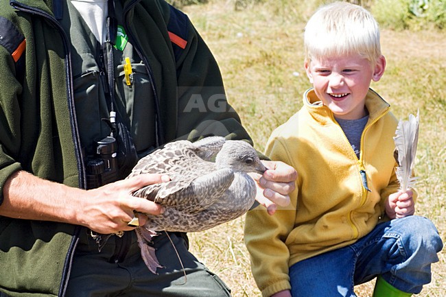 Marc Guyt / www.agami.nl stock-image by Agami/Marc Guyt,