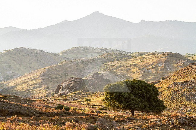 Landschap op Lesbos; Landscape on Lesvos stock-image by Agami/Menno van Duijn,