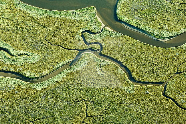  stock-image by Agami/Marc Guyt,