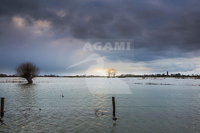 Project Room for the River IJssel stock-image by Agami/Wil Leurs,