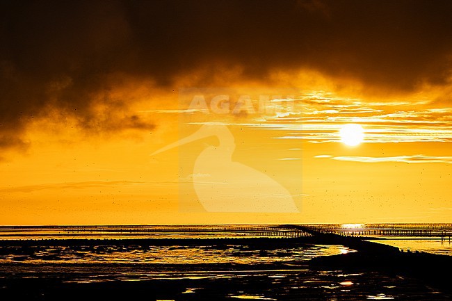  stock-image by Agami/Menno van Duijn,