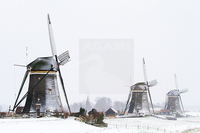  stock-image by Agami/Menno van Duijn,