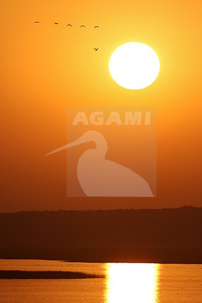 Sunset over Chhari Lake, Greater Rann of Kutch, India stock-image by Agami/James Eaton,